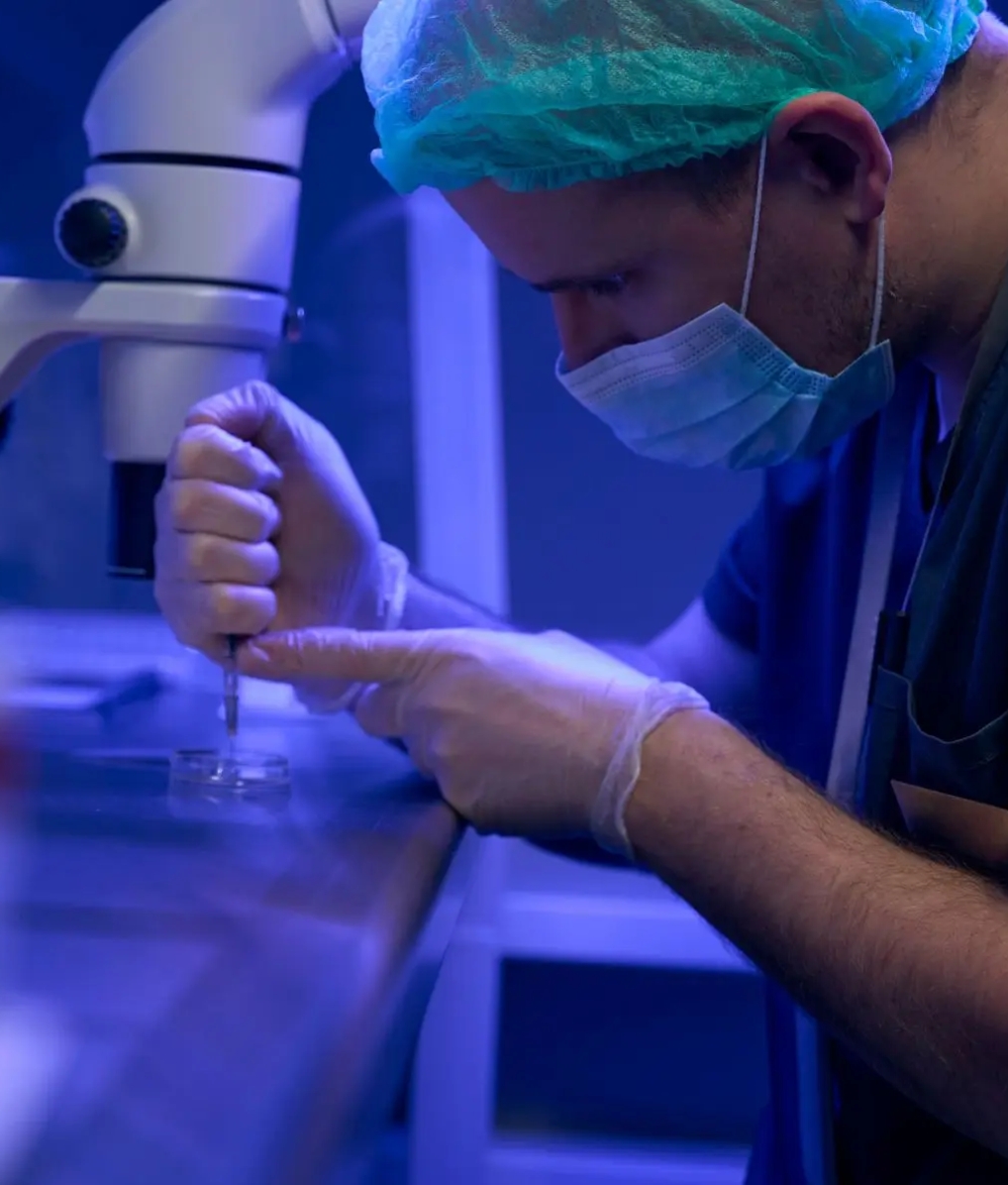 IVF (In Vitro Fertilization)